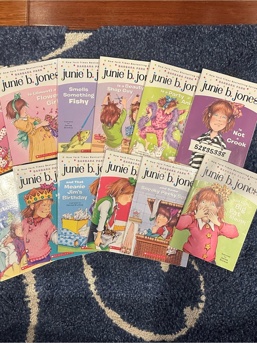 Junie B. Jones Children's Book Collection - Books #3-14